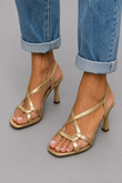 Dourado