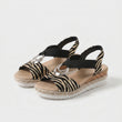 Zebra Clássico